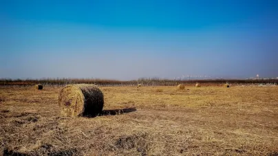 Casholot Casino Mobiilirakendus